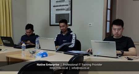 Power BI for Business Users Training with Tunas Daihatsu, Tunas Toyota & Lembaga Penjamin Simpanan